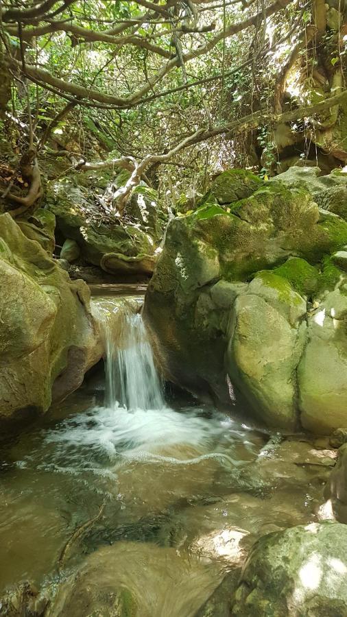 Hostal Rural De Cuadros Bedmar y Garciez Eksteriør billede