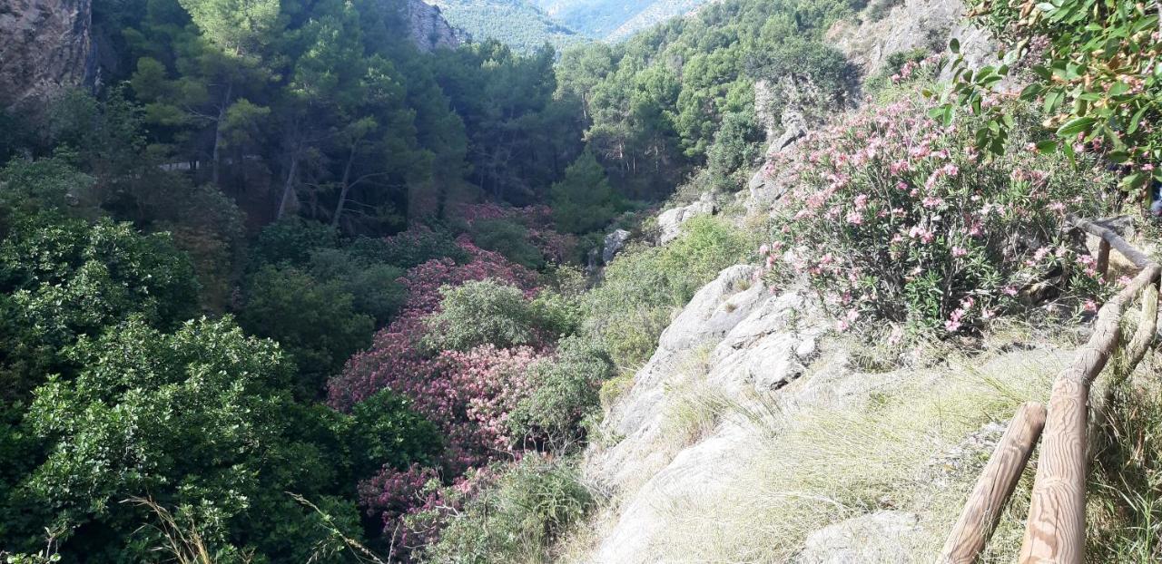 Hostal Rural De Cuadros Bedmar y Garciez Eksteriør billede