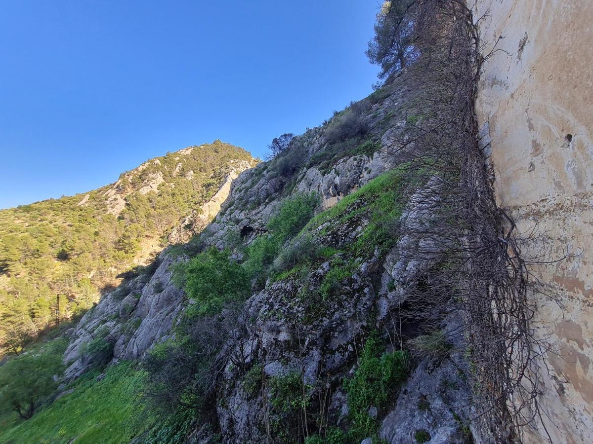 Hostal Rural De Cuadros Bedmar y Garciez Eksteriør billede